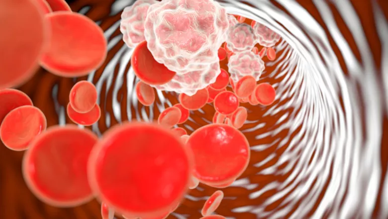 Inflammation blood cells thumbnail