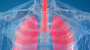 King's Centre for Lung Health