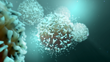 T-cells thumbnail