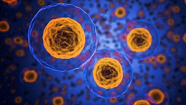 brc-advanced-therapeutics-experimental-medicine