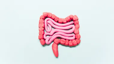 Gastrointestinal health