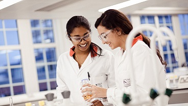 Undergraduate study