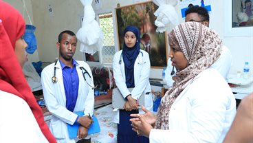 Strengthening the Health System through Partnership