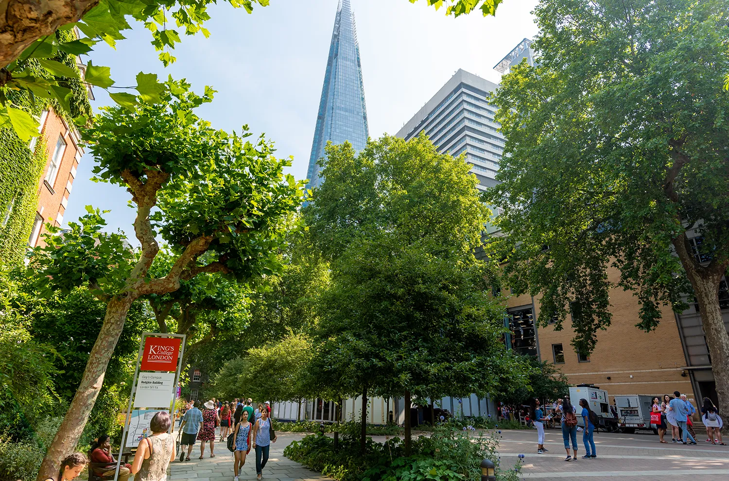 Guy's campus with trees in the foreground and the Shard in the background