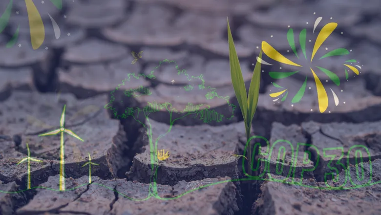 Broken, dry earth with a single green baby plant