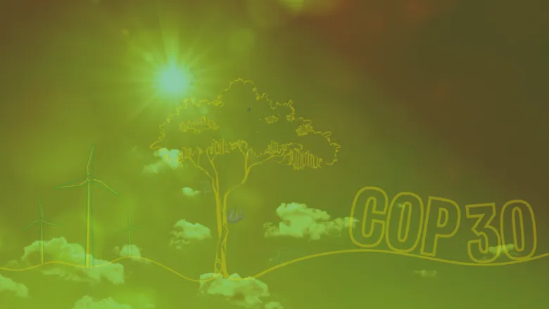 Extreme heat and mental health: How can we protect urban communities?