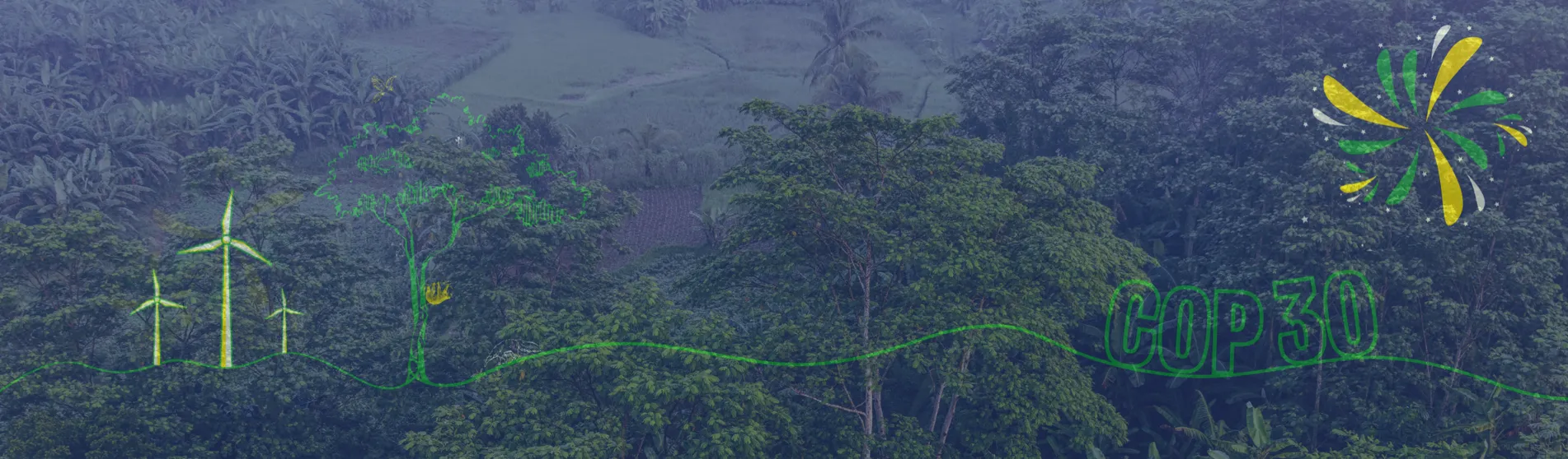 A green and vibrant forest