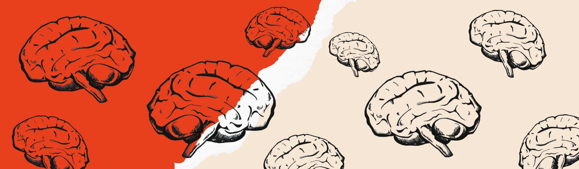 Red and beige banner with lots of brain illustrations