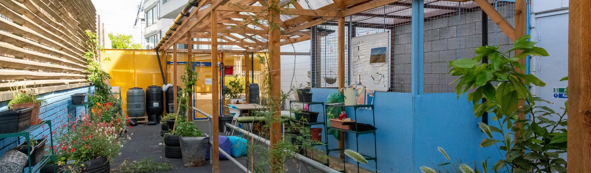 Denmark Hill Community Garden