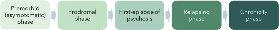 Bringing experience and research together to understand psychosis 1