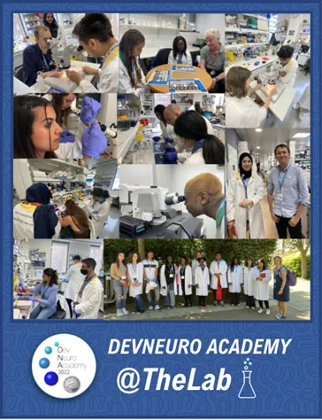 Dev Neuro Academy THE LAB