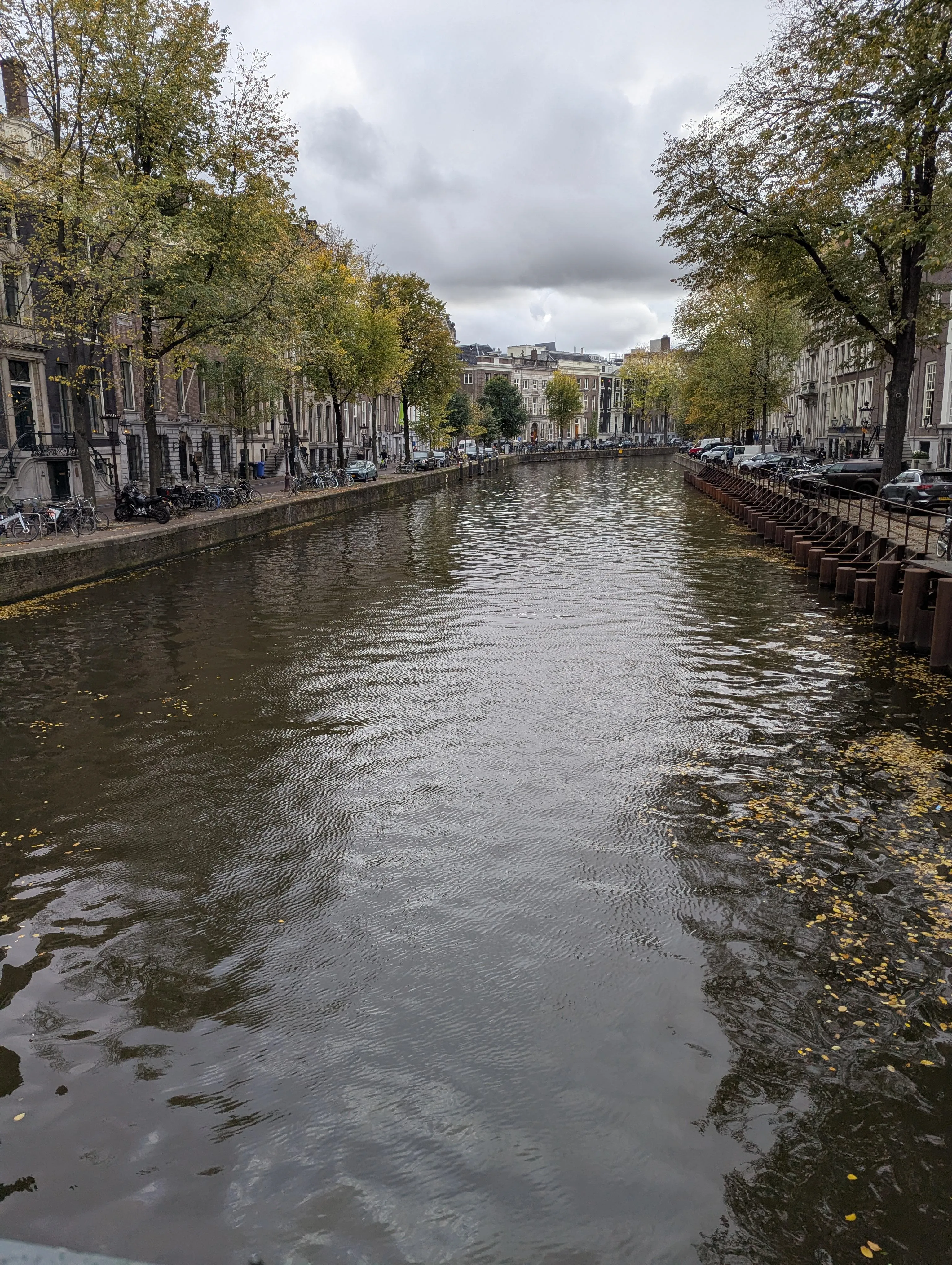 Daytime canal lined with autumn trees under an overcast sky.