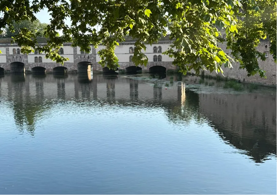 Historic stone bridge with multiple arches reflected in the river, framed by tree leaves