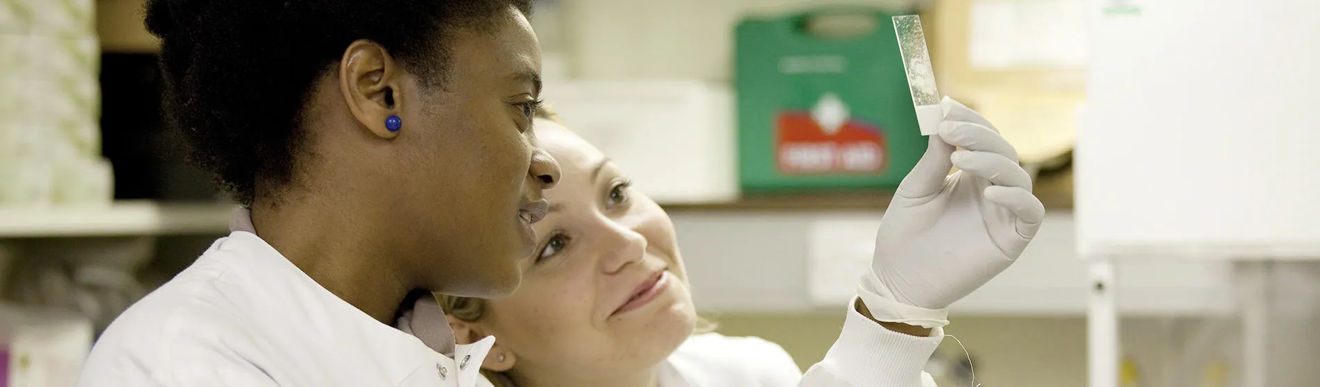 women-in-labs-looking-at-brain-sample