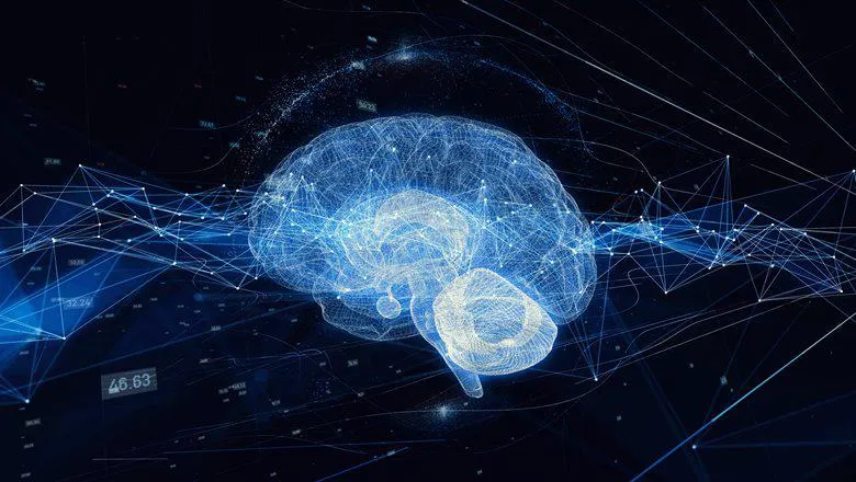 From modelling brain activity to modelling impacts of COVID-19