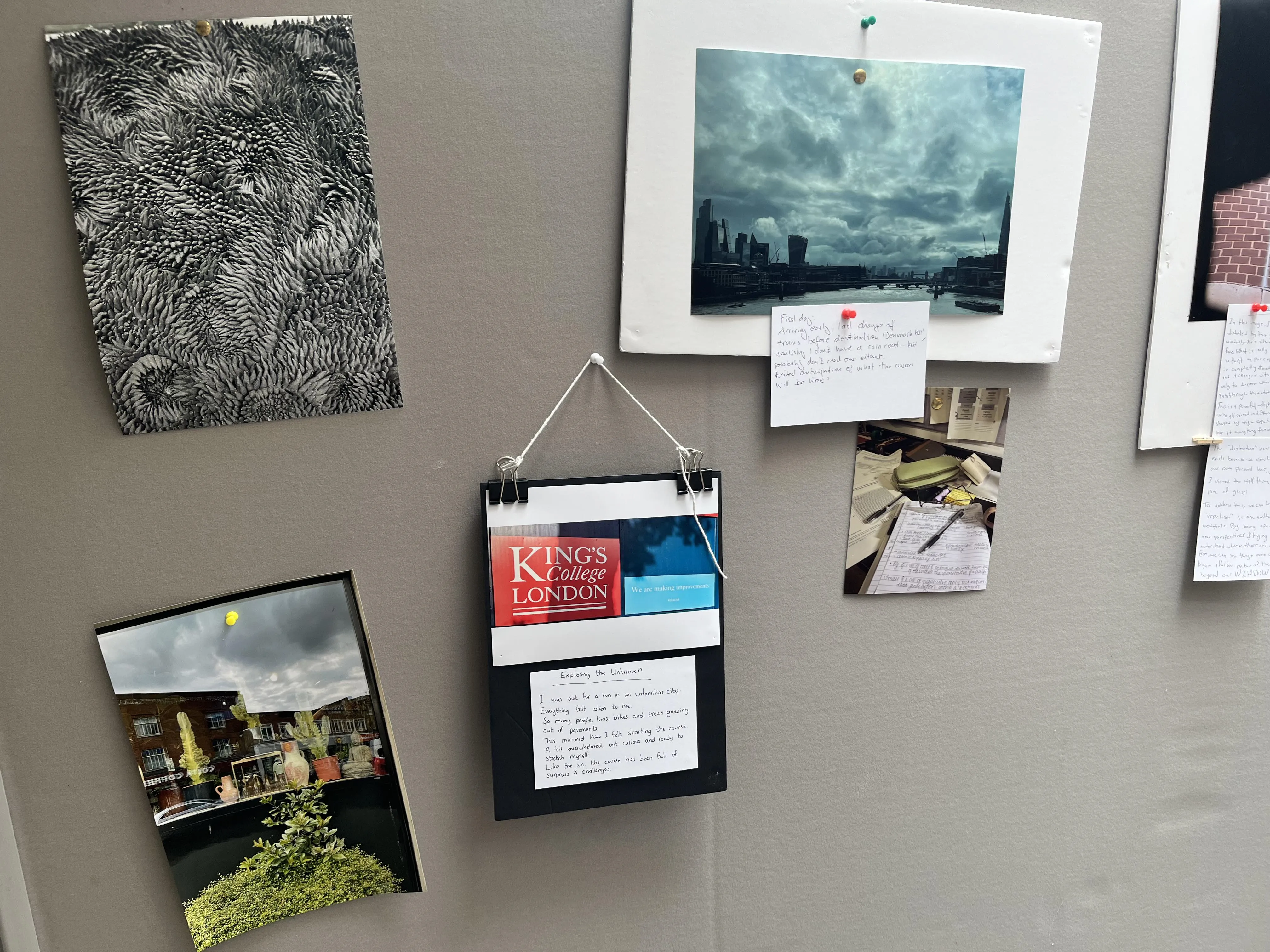 Array of photographs pined to a board