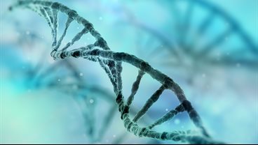 Psychiatric and behavioural genetics