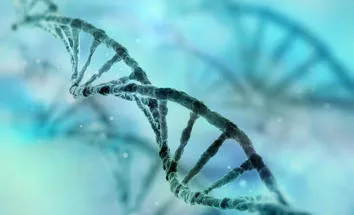 Genetic theme