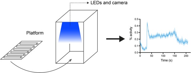 DART opto diagram