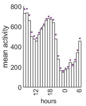 Circadian pic