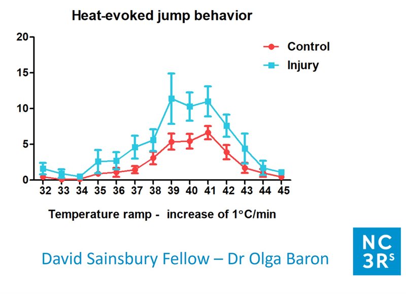 Heat jump 2