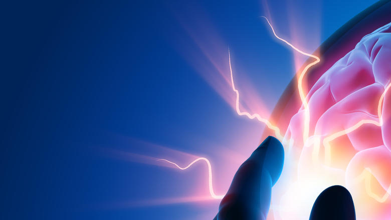 New Insights Into The Brainstem To Spinal Cord Pain Pathways