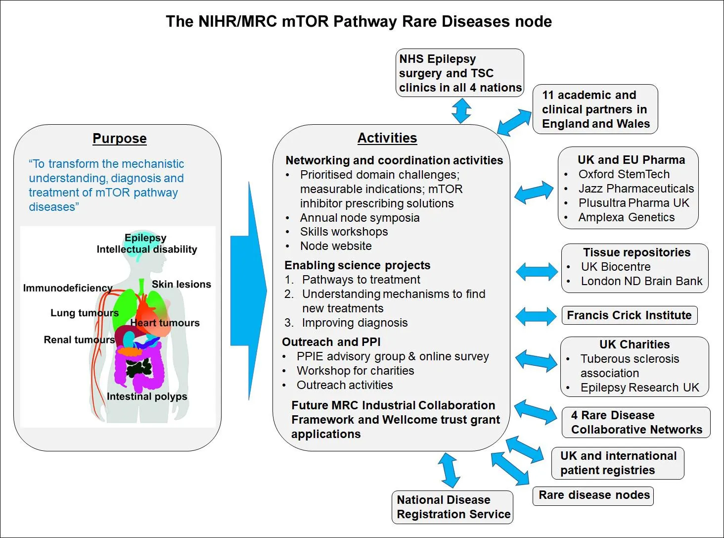 The NIHR/MRC mTOR Pathway Diseases node
