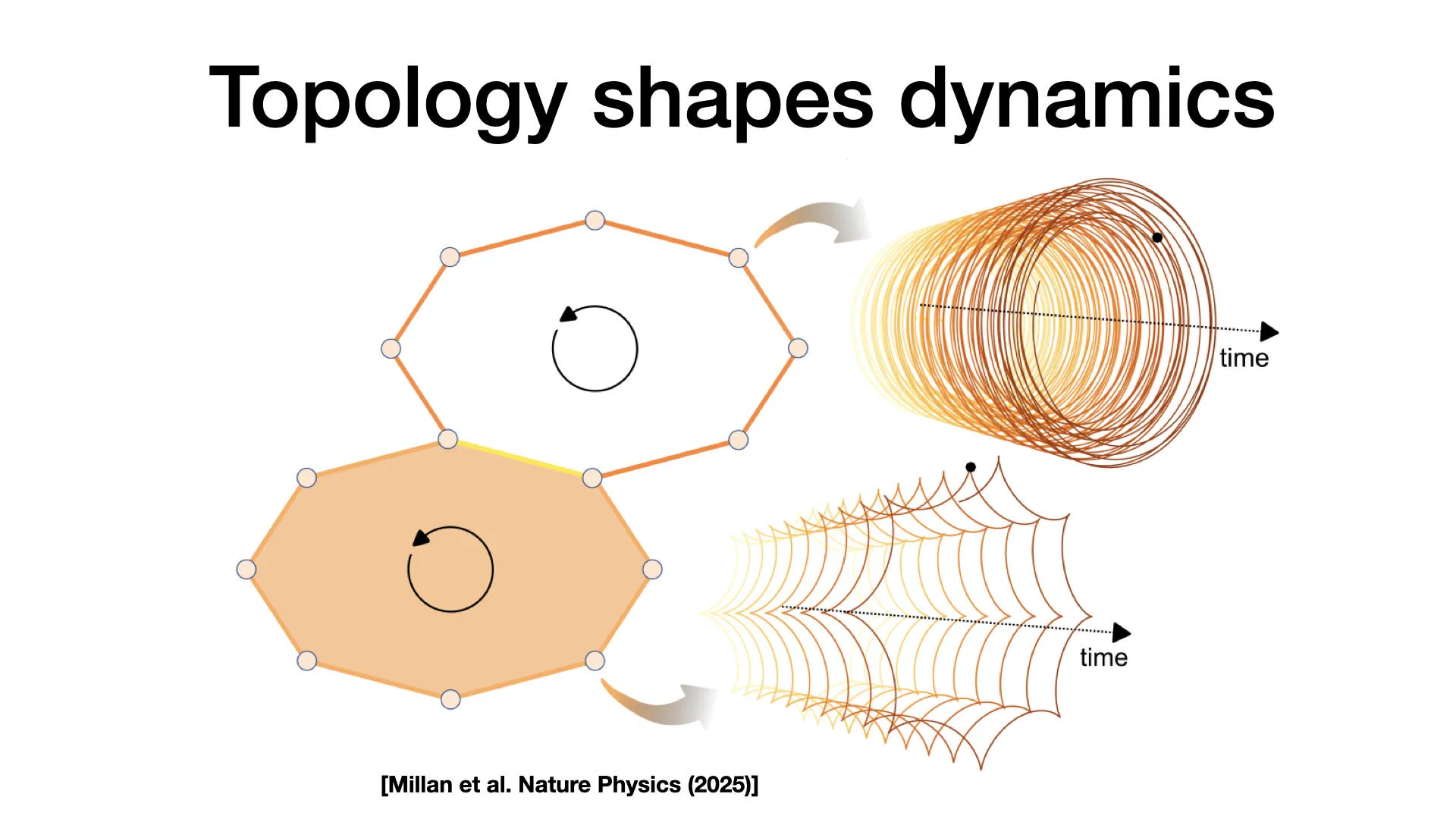 Topology_shapes_dynamics_Ginestra_Bianconi