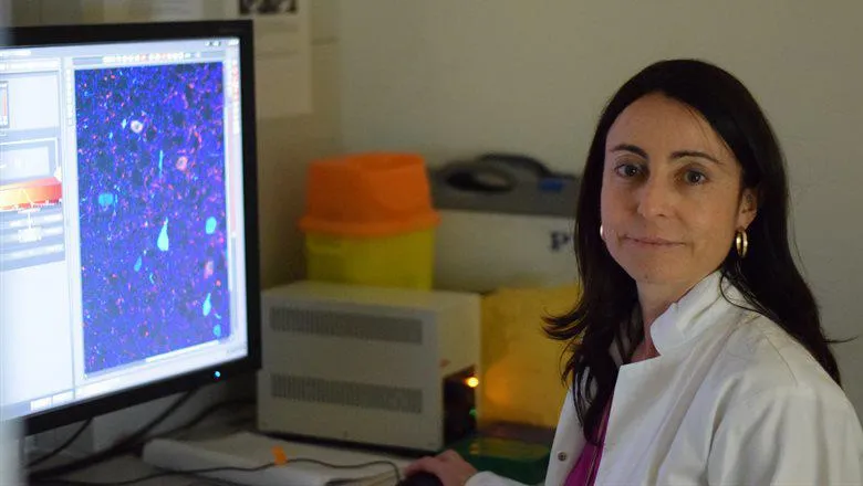 Professor Beatriz Rico amongst the 185 scientists to win the European Research Council's Advanced Grants