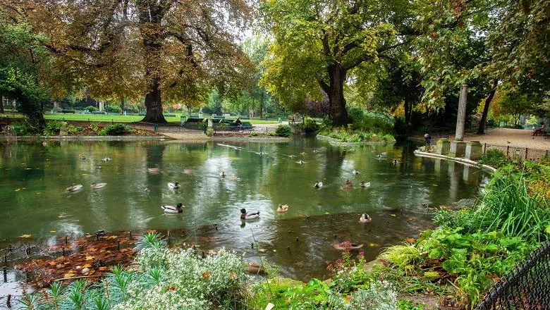 Image of a lake in a park with ducks 