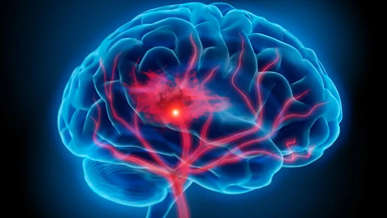 Image of a brain lit in blue with red pathways