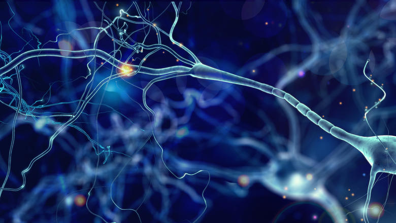 Cellular memory of mother’s viral infection could play a role in child’s later brain development