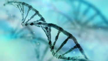 Social, Genetic & Developmental Psychiatry Centre