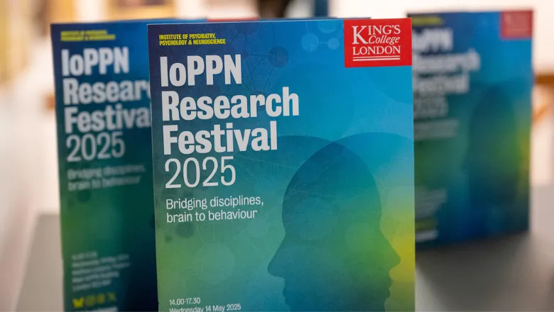 Research Festival 2025 4