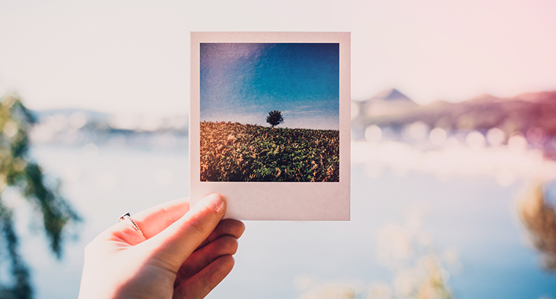 800x430_polaroid-instagram