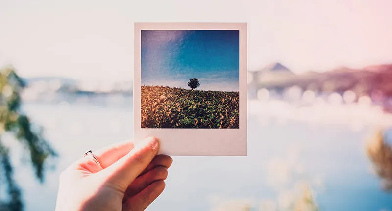800x430_polaroid-instagram