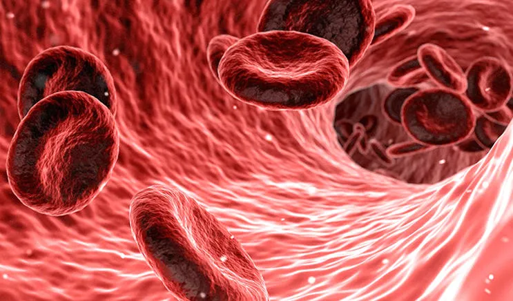743x496_abstract-blood