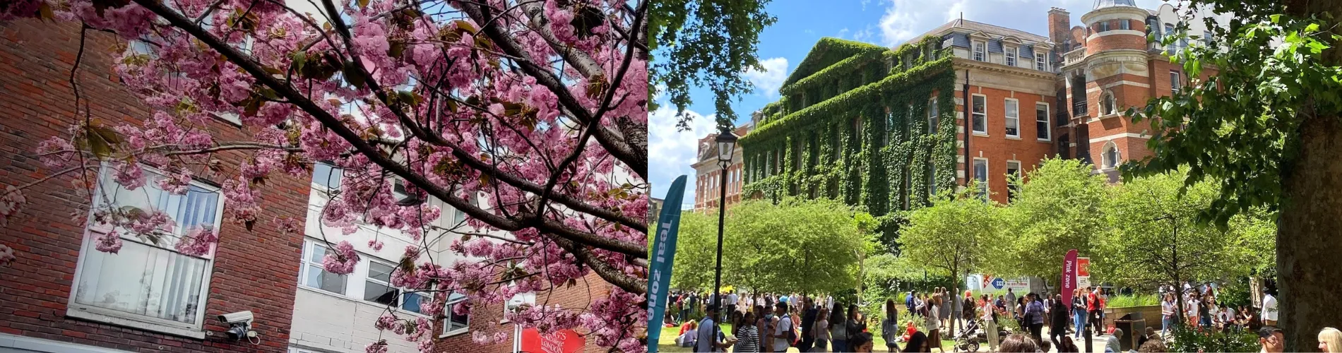 King's in Spring photography collage 2024