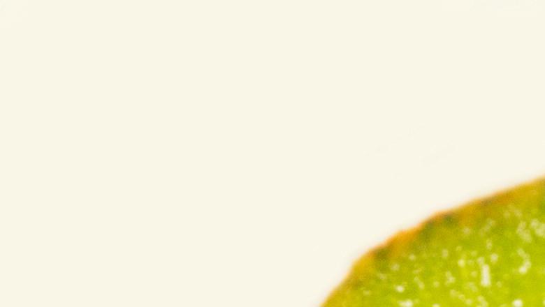 Kiwis could help manage chronic constipation