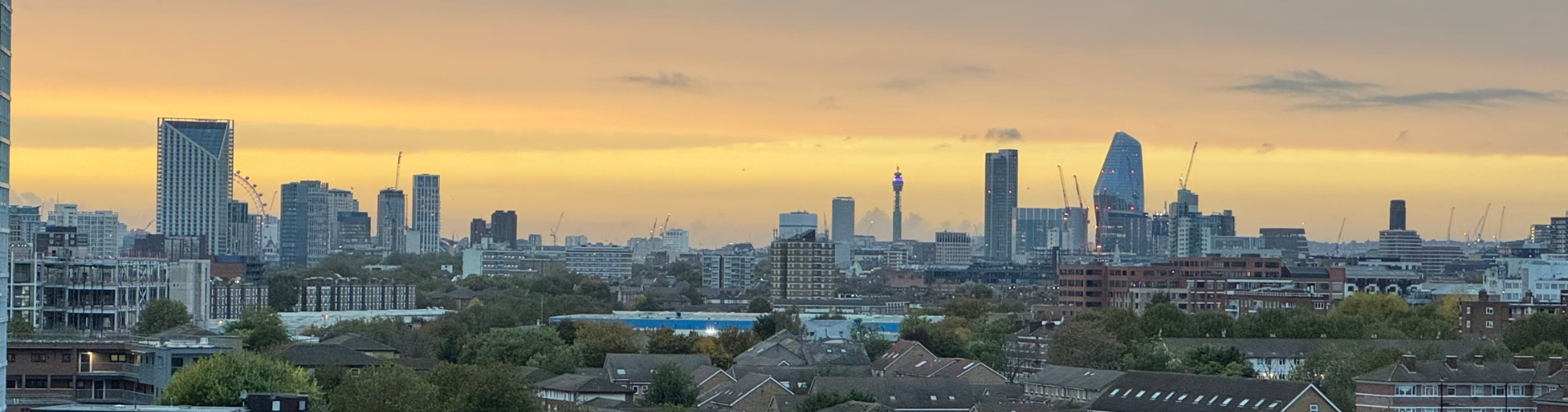 Panoramic city skyline at sunset, with modern glass towers rising above low-rise buildings and trees; warm golden light creates a calm, expansive mood.