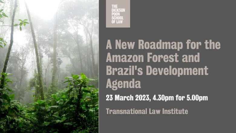 A new roadmap for the Amazon forest and Brazil’s development agenda thumbnail