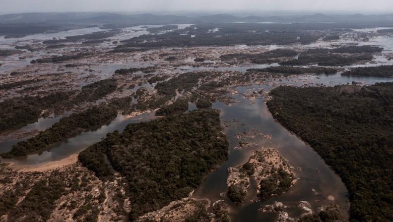 Aerial view of a river and trees