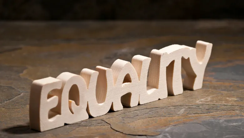 Equality without equity thumbnail (1)