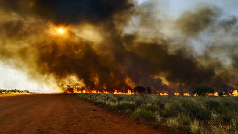 A wildfire with thick plumes of smoke