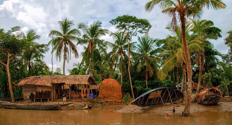 A mangrove forest with simple houses, a river and palm trees.