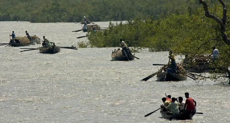 A series of small rowing boats are silhouetted against a wide river.