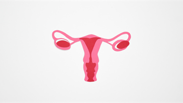 The Donation and Transfer of Human Reproductive Materials