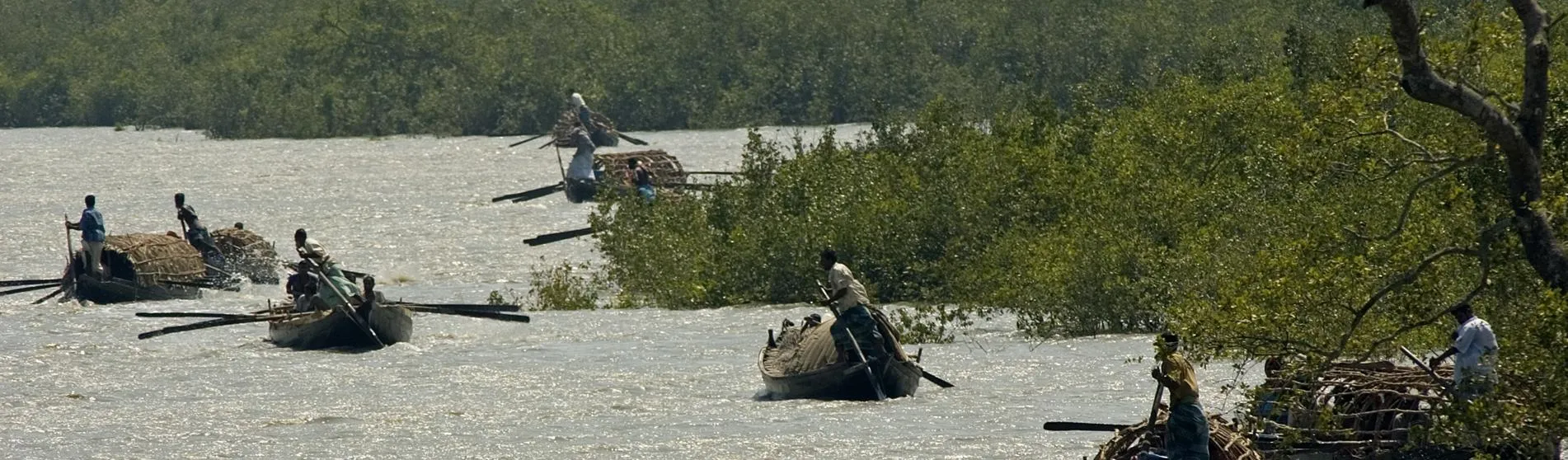 Sundarbans Hero 2 1903 x 558