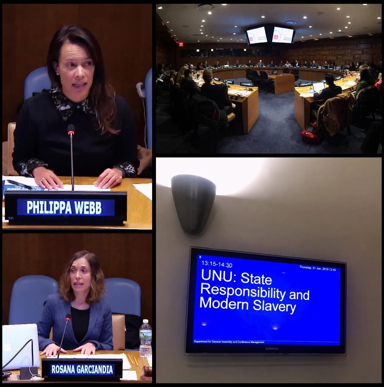 Professor Philippa Webb and Dr Rosana Garciandia speaking at the United Nations earlier this year 