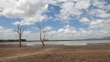 Experts join COP27 debate